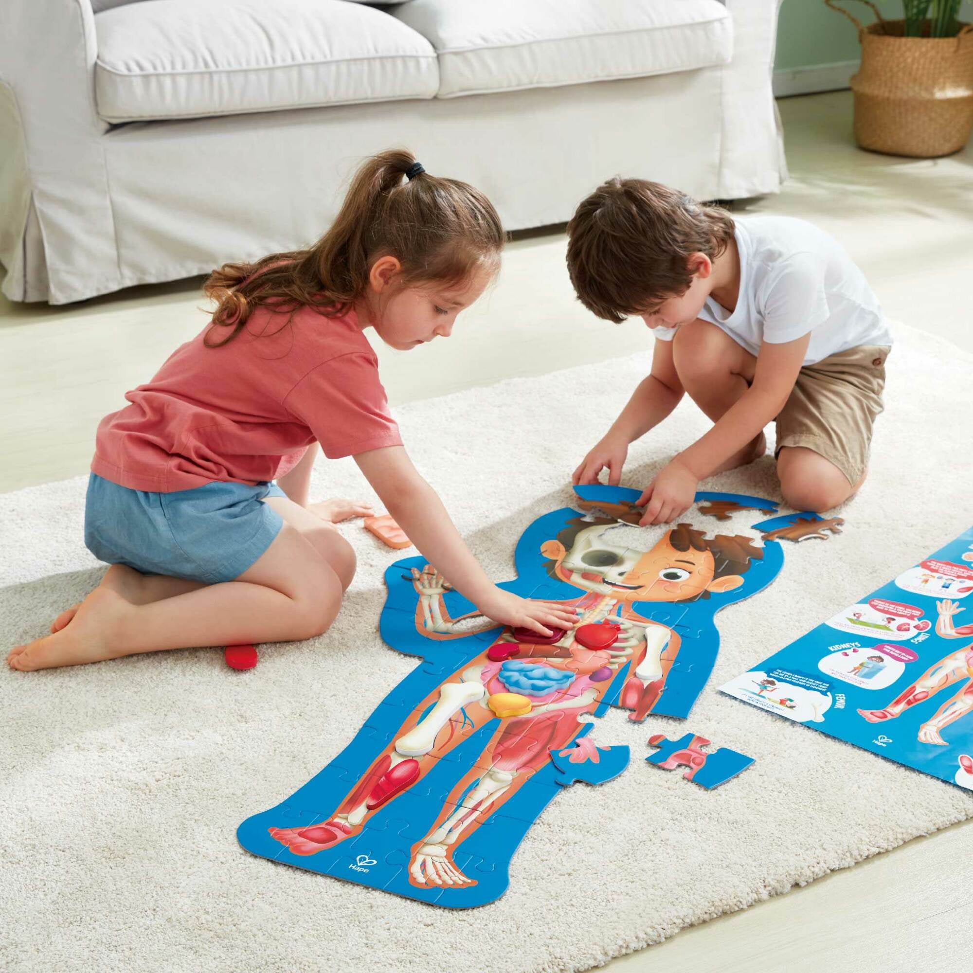 Hape Human Body Jigsaw Puzzle, 60 Oversized Pieces