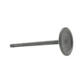 thumbnail image 3 of DNJ IV3138 Intake Valve Fits Cars & Trucks 02-06 Buick Chevrolet 2.8L-4.2L DOHC 16v 20v 24v, 3 of 4