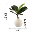 thumbnail image 2 of 15" H Fig Leaf in Ceramic Vase,Cream, 2 of 4