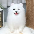 thumbnail image 5 of Juguetes para piscina, juguetes para bebés y niños pequeños. Muñeco realista de perro pomerania: peluche súper suave., 5 of 5