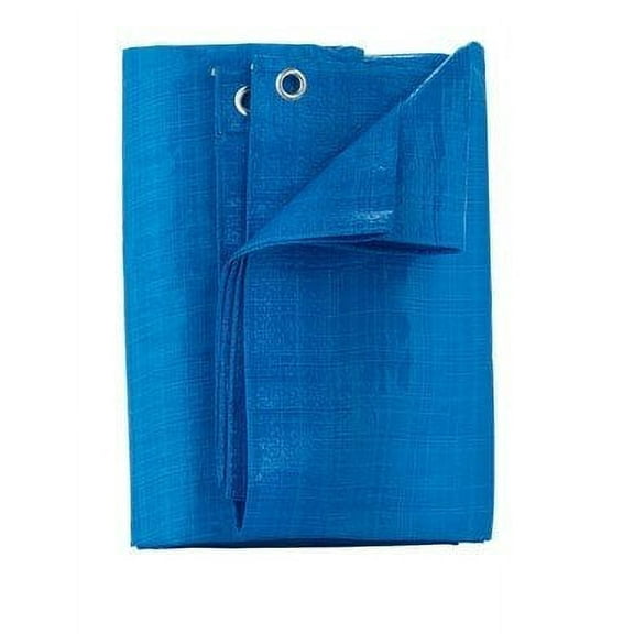 Home Plus Poly Tarp 3'7" x 5'7"