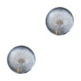 thumbnail image 2 of Maytalsory Exquisite Flower Crystal Ball Unlocking Inner Creativity Unique Dandelions 8cm 2Set, 2 of 6