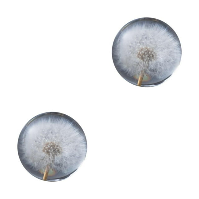 Maytalsory Exquisite Flower Crystal Ball Unlocking Inner Creativity Unique Dandelions 9cm 2Set