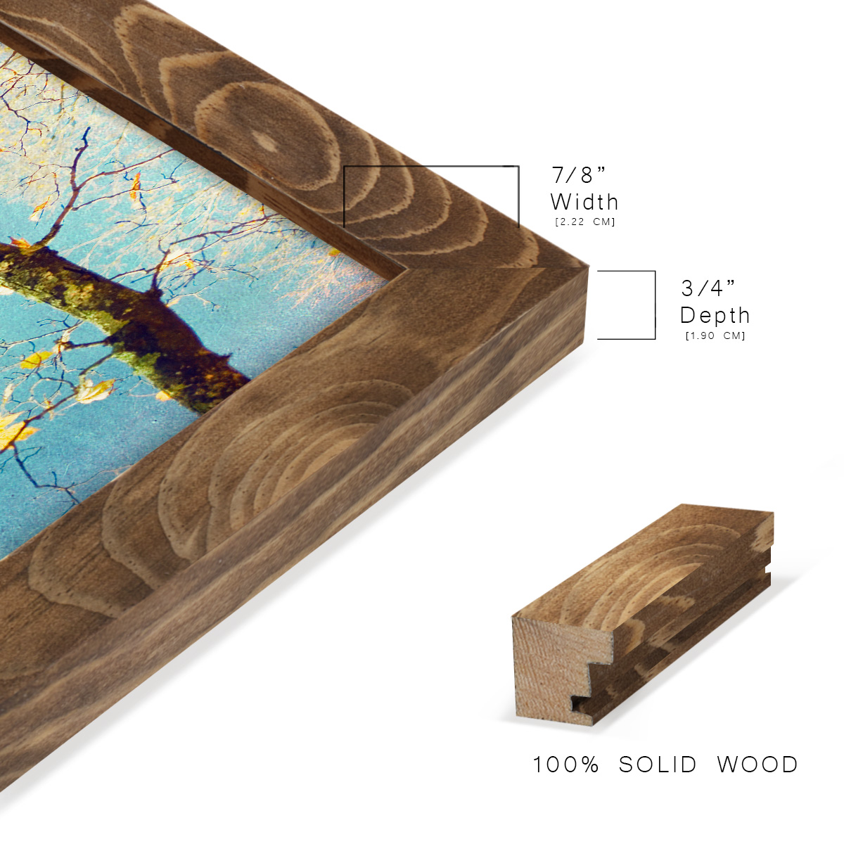 Autumn Tapestry III -Framed Print w/glass-Walnut