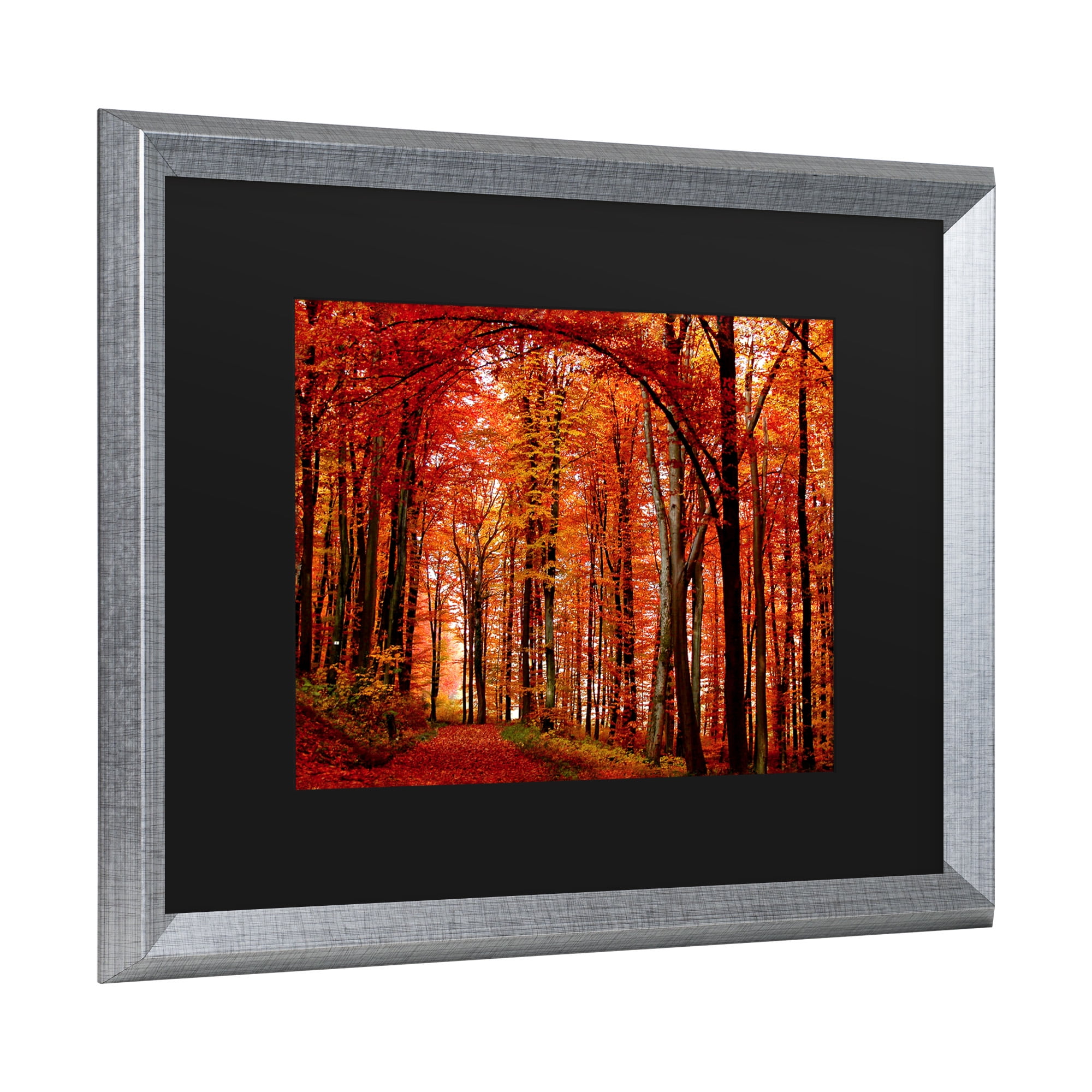 Trademark Fine Art 'The Red Way' Canvas Art by Philippe Sainte-Laudy