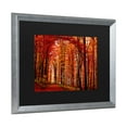 thumbnail image 2 of Trademark Fine Art 'The Red Way' Canvas Art by Philippe Sainte-Laudy, 2 of 4
