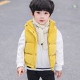 thumbnail image 4 of Toddler Boys Girls Sleeveless Collar Down Vest Fall Winter Solid Color Button Stripe Jacket, 4 of 8