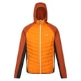 thumbnail image 1 of Regatta Veste Hybride Andreson VIII pour Hommes, 1 of 5