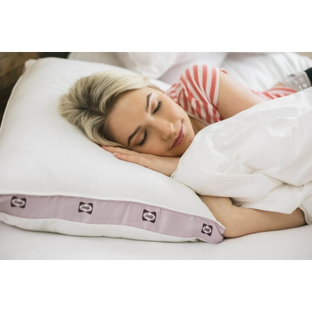 Sealy Extra Firm Density 300 Thread Count Pillow Twin Pack Kg