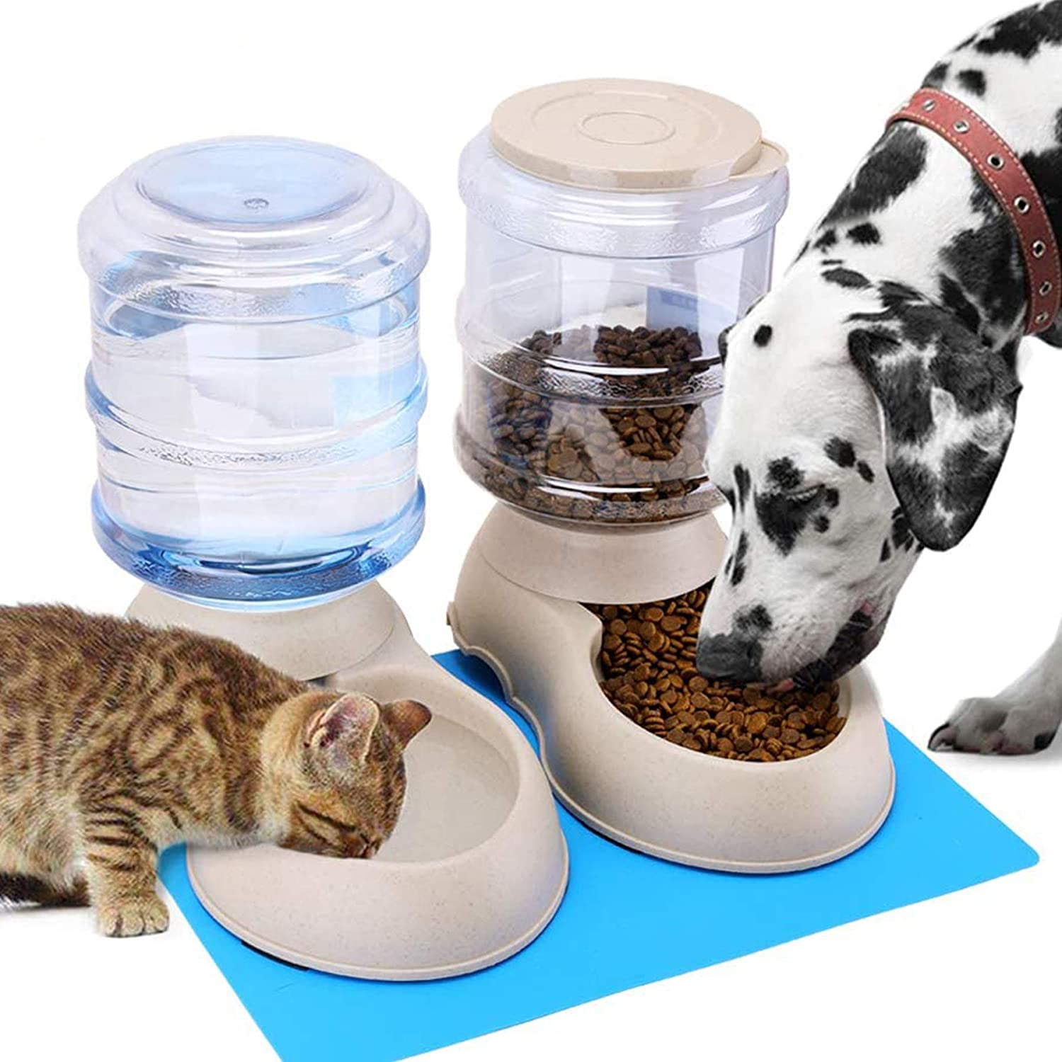 automatic cat feeder