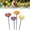 4 Pcs, variant on Ceramic Flowers for Bees, Flower Bee Drinking Station for the Garden, Rain Catcher Bird Bath Blossom Garden Stake Decor for Yard and Patio for Outside