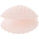 thumbnail image 1 of Decoración de conchas marinas Decoración de conchas para acuarios Decoración de conchas para acuarios, 1 of 5