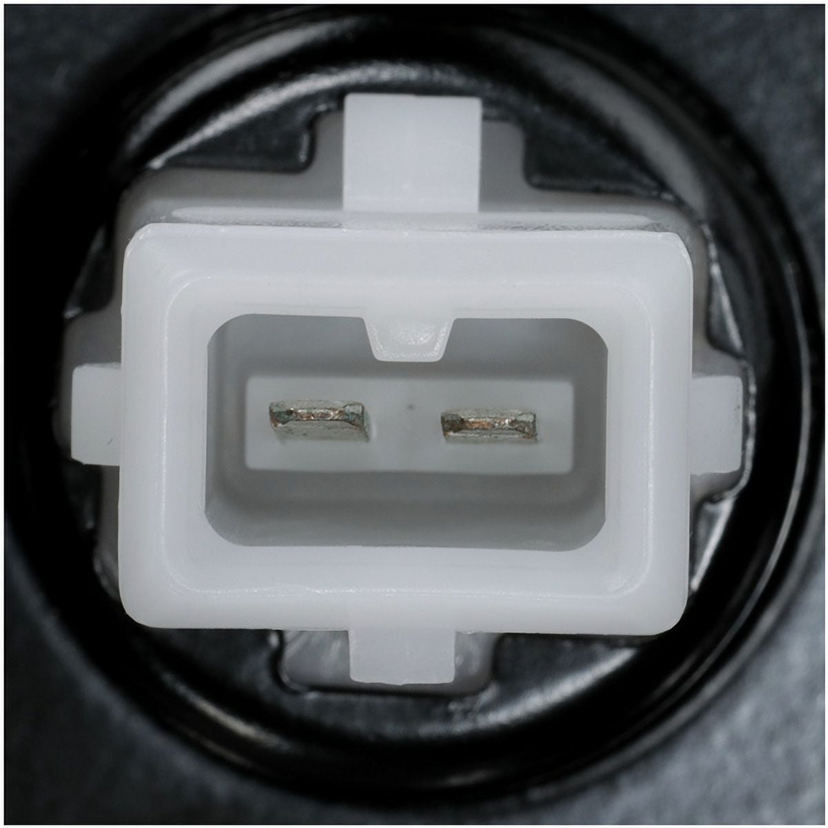Fuel Tank Sending Unit