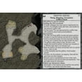 thumbnail image 3 of Mazos de misiones secundarias de Inkwell Ideas: Misiones de Frontier Town, 3 of 3