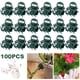 thumbnail image 1 of pstuiky Clips de fijación para flores de Phalaenopsis (20/100 unidades) para soporte de ramas de enredaderas hortícolas., 1 of 9