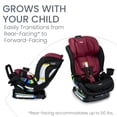 thumbnail image 2 of Britax Poplar S Asiento convertible para automóvil, asiento para automóvil 2 en 1 con diseño delgado de 17 pulgadas, tecnología ClickTight, Ruby Onyx, 2 of 5