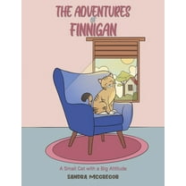 The Adventures Of Finnigan, (Paperback)