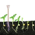 thumbnail image 3 of Paquete de 18 Estacas para Plantas Electrocultivo, Antenas Jardinería Cobre Electrocultivo 12", Bobina, 3 of 5