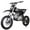 Black, variant on X-Pro Brand New 125cc Dirt Bike with Automatic Transmission, Electric Start, Big 14"/12" Tires