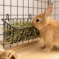 thumbnail image 4 of Durable Hay Feeder Rack, Sturdy Iron Art Bracket for Convenient Easy Fixation, Essential Rabbit Guinea Pig Feeding Accessory Black, 4 of 7