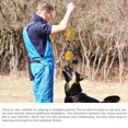 thumbnail image 2 of Juguetes De Pelota Para Perros Con Cuerda Mascotas Morder Masticar Pelota De Entrenamiento Lanzar Bolas Juguete Interactivo Perros Gatos Suministros Al Aire Libre Eigraketly PT002434-01, 2 of 6
