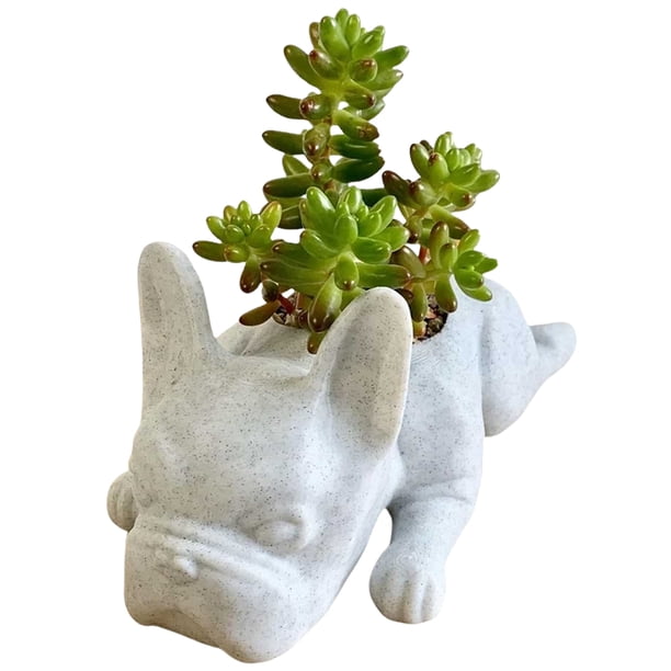 Bsvklp Resina Bulldog Suculenta Maceta Adornos Artesanía Jardín Césped (L)