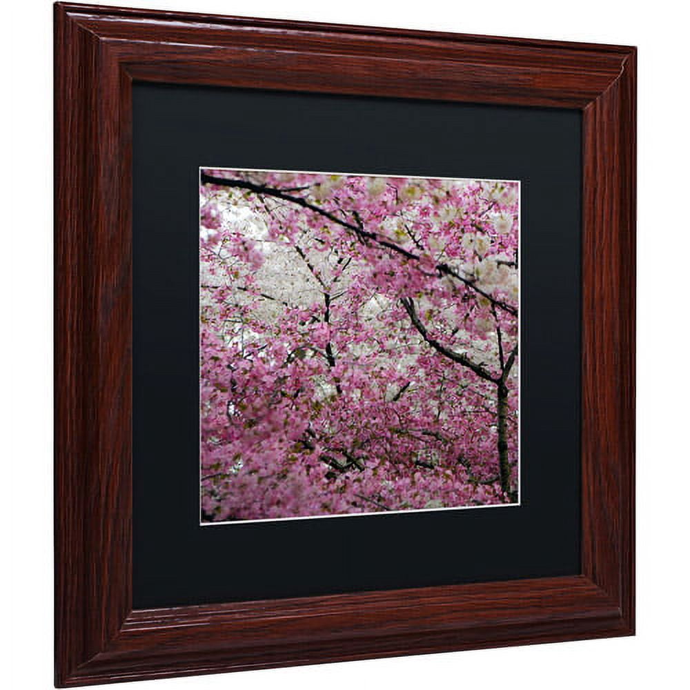 Trademark Fine Art "Cherry Blossoms 2014-3" Canvas Art by CATeyes, Black Matte, Wood Frame