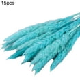 thumbnail image 2 of 15Pcs/Bundle Small Pampas Grass Ornamental Desktop Decor Dried Flower Birthday Party Artificial Reed Bouquet for Garden, 2 of 8