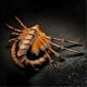 thumbnail image 3 of Halloween Mask Facehugger Costume Alien Facehugger Face Mask Face Hugger Costume Horror Props Rubber Scary Half Face Scorpion Mask-ccba, 3 of 4