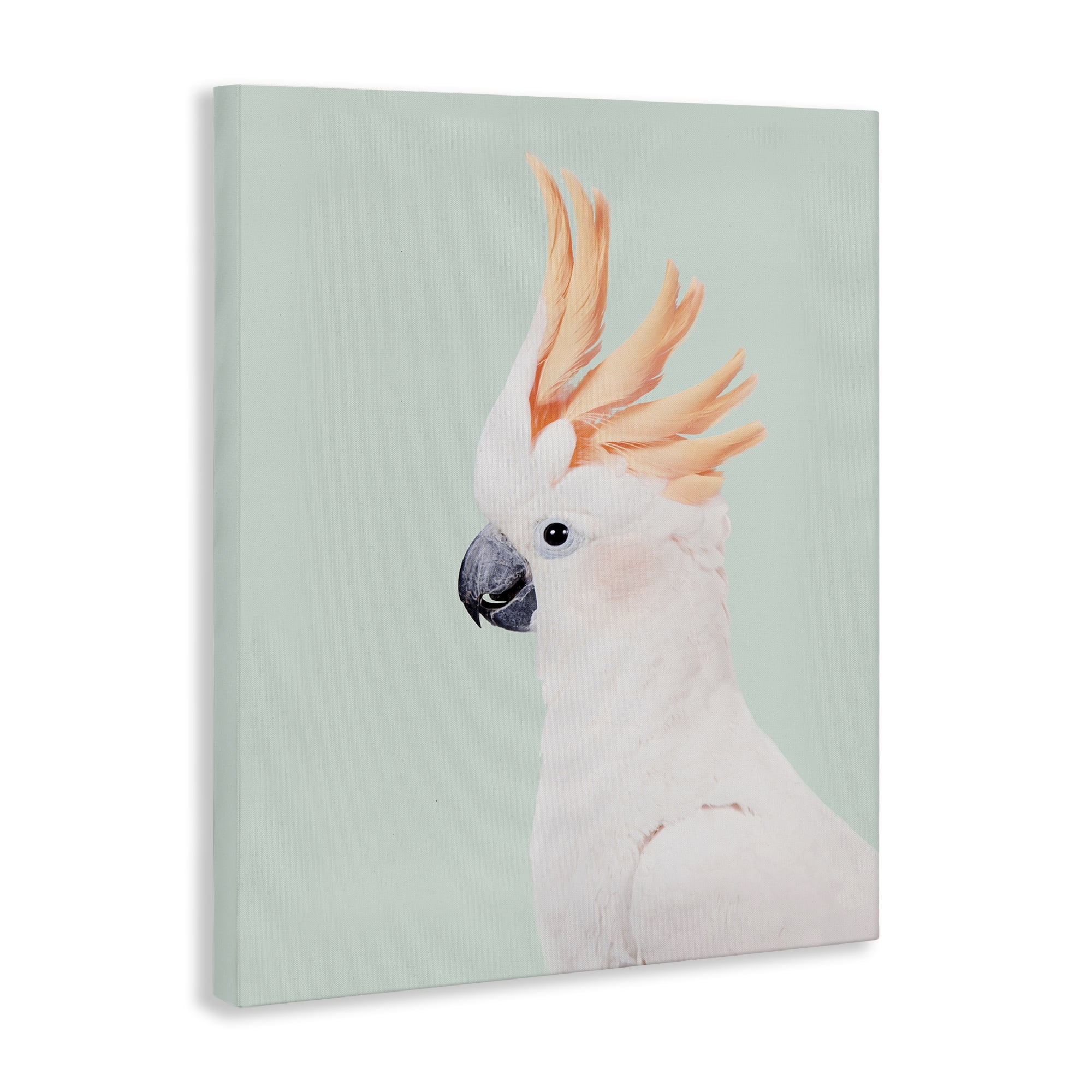 Stupell Industries White Cockatoo Portrait Animals Painting Wrapped Canvas Art Print Wall Art, 24 x 30