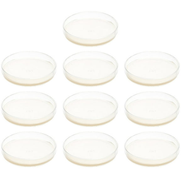 10pcs Agar Plates Prepoured Agar Petri Dishes Science Projects Supplies