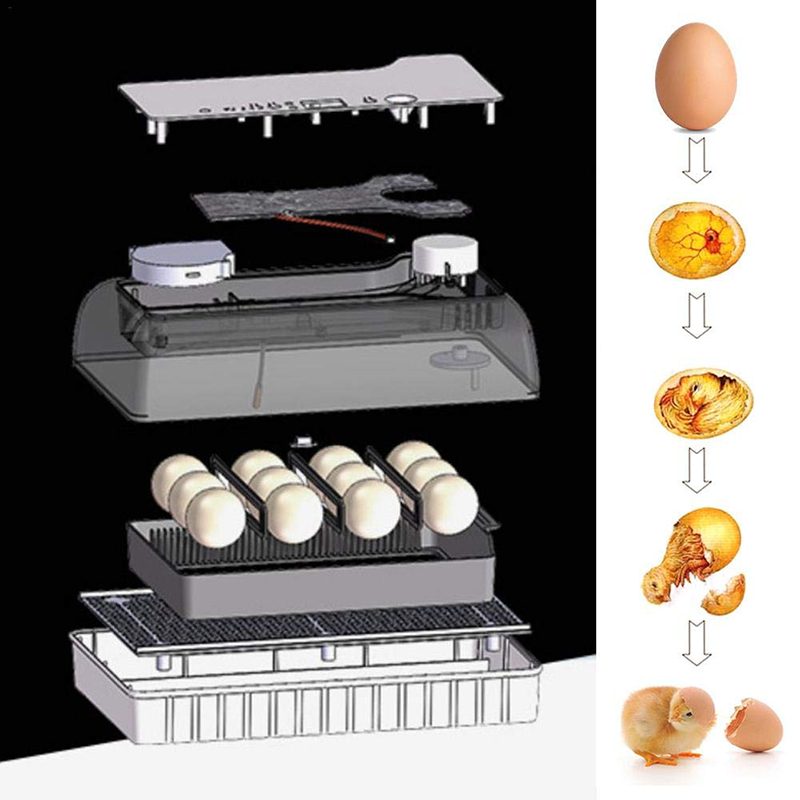 fully automatic egg incubator canada
