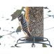thumbnail image 2 of Semillas para aves JCs Wildlife con insectos, nueces y bayas, 6 paquetes de 2,5 kg, 2 of 6