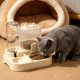 thumbnail image 5 of Comedero Automático para Mascotas (Gatos y Perros): Doble Cuenco con Dispensador de Comida y Agua, Diseño Antideslizante Elevado para Facilitar La Alimentación., 5 of 6