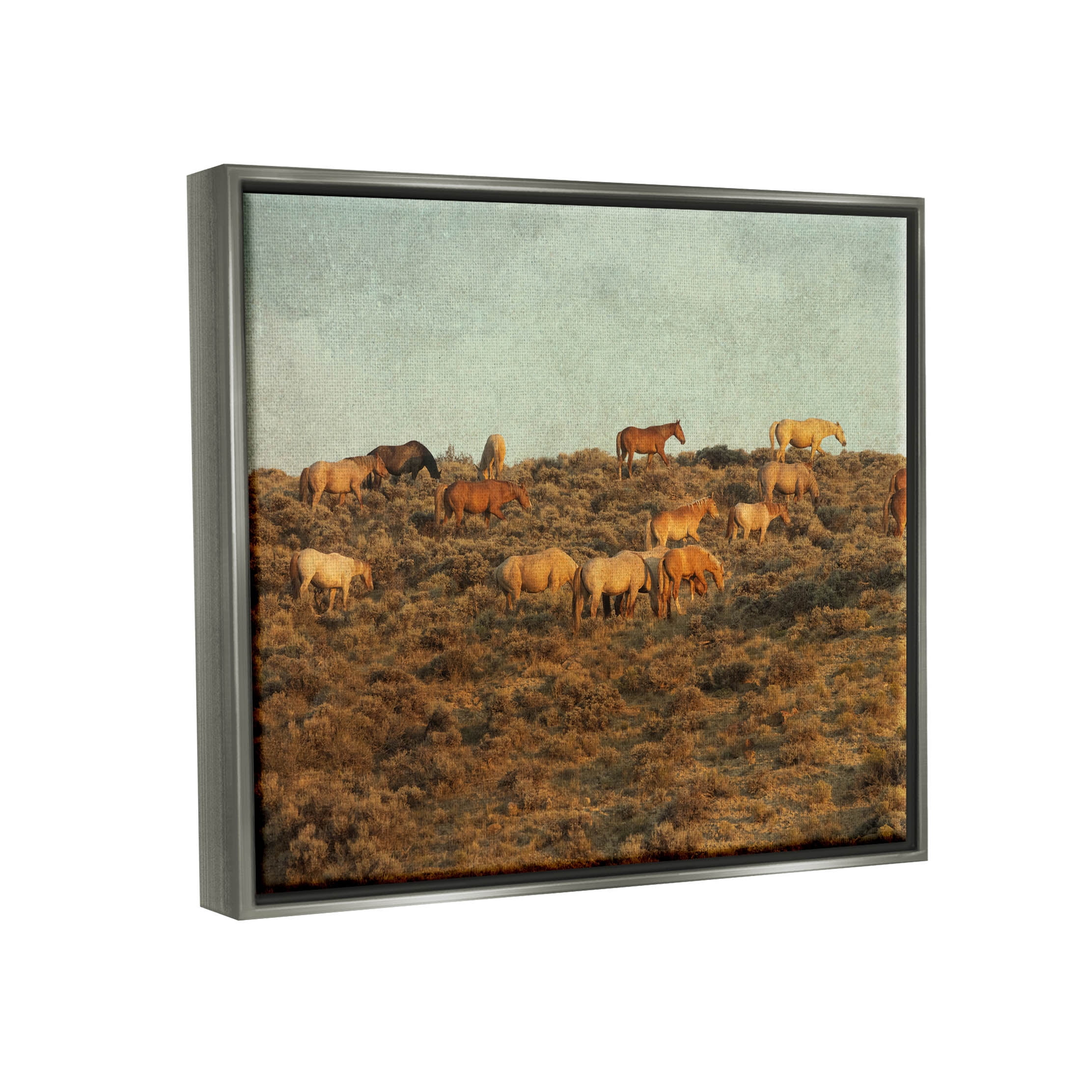 Stupell Industries Rural Horses Grazing Photograph Luster Gray Floating Framed Canvas Print Wall Art, Design by Jan Walters