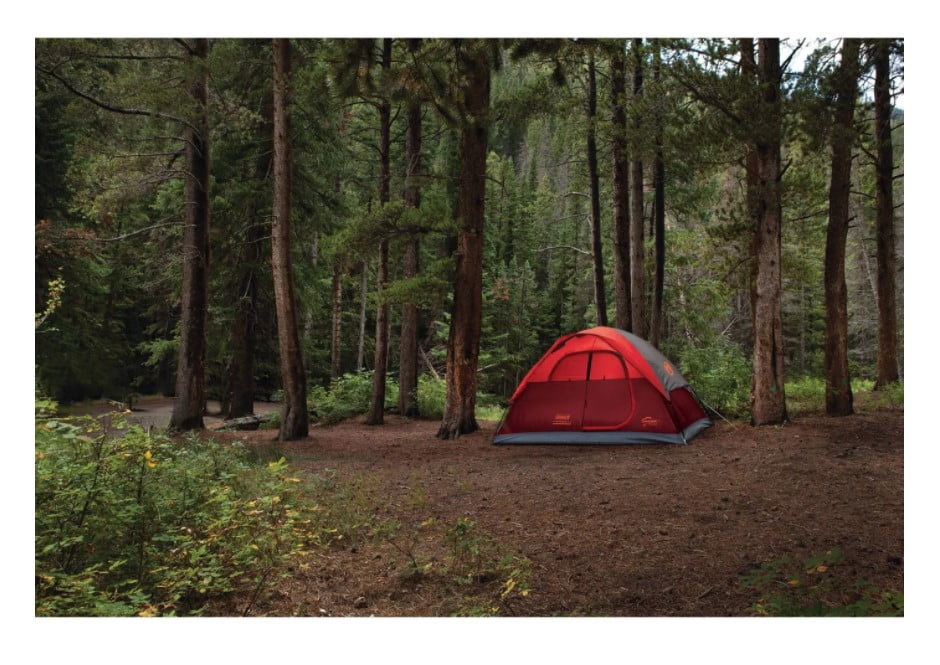 Coleman Flatwoods II 4-Person 