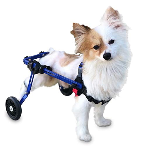 Walkin' Wheels Dog Wheelchair - Vet Approved - X-Small Dogs 2 - 10 lbs - Walmart.com Walkin' Wheels Dog Wheelchair - Vet Approved - X-Small Dogs 2 - 10 Lbs - Walmart.Com