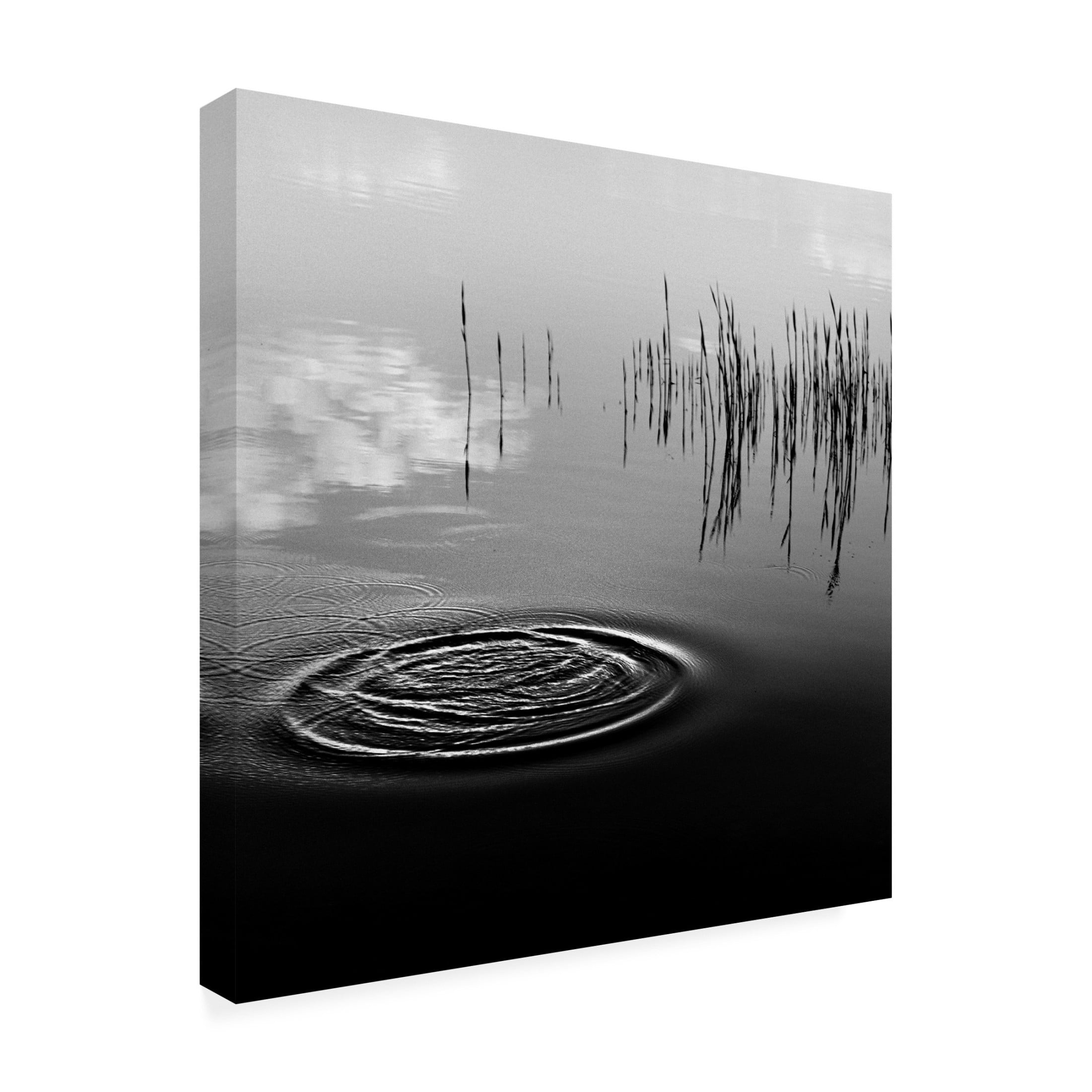 Canvas Wall Art - Poul-Erik Riis 'What Happened?' Wall Art for Living Room, Bedroom, or Office Décor by Trademark Fine Art - 14 x 14 Inches