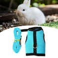 thumbnail image 4 of 2x Lindo Arnés De Conejo Con Correa, Cuello Suave Para Gatitos, Conejos, Animales Pequeños, 4 of 8