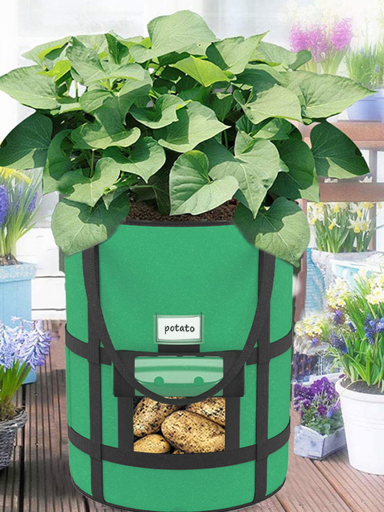 Anwenk 10 Gallon Potato Grow Bags with Flap Velcro Window and Handles  Garden Vegetable Grow Bags Breathable Nonwoven Potato Tomato Veggies Flower Planter  Bag Large, 2Pack - Yahoo Shopping