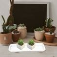 thumbnail image 2 of 5pcs Window Sill Plant Tray Planter Tray Planter Water Tray Shallow Rectangular Drip Tray Window Sill Flowerpot Tray Rectangular Plants Saucer, 2 of 9