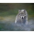 thumbnail image 2 of Lynnsy, B. 23x20 White Modern Wood Framed Museum Art Print Titled - Misty Wild I, 2 of 4