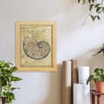 thumbnail image 6 of Seashell Ephemera II - Framed Print w/glass - Natural Wood, 6 of 7