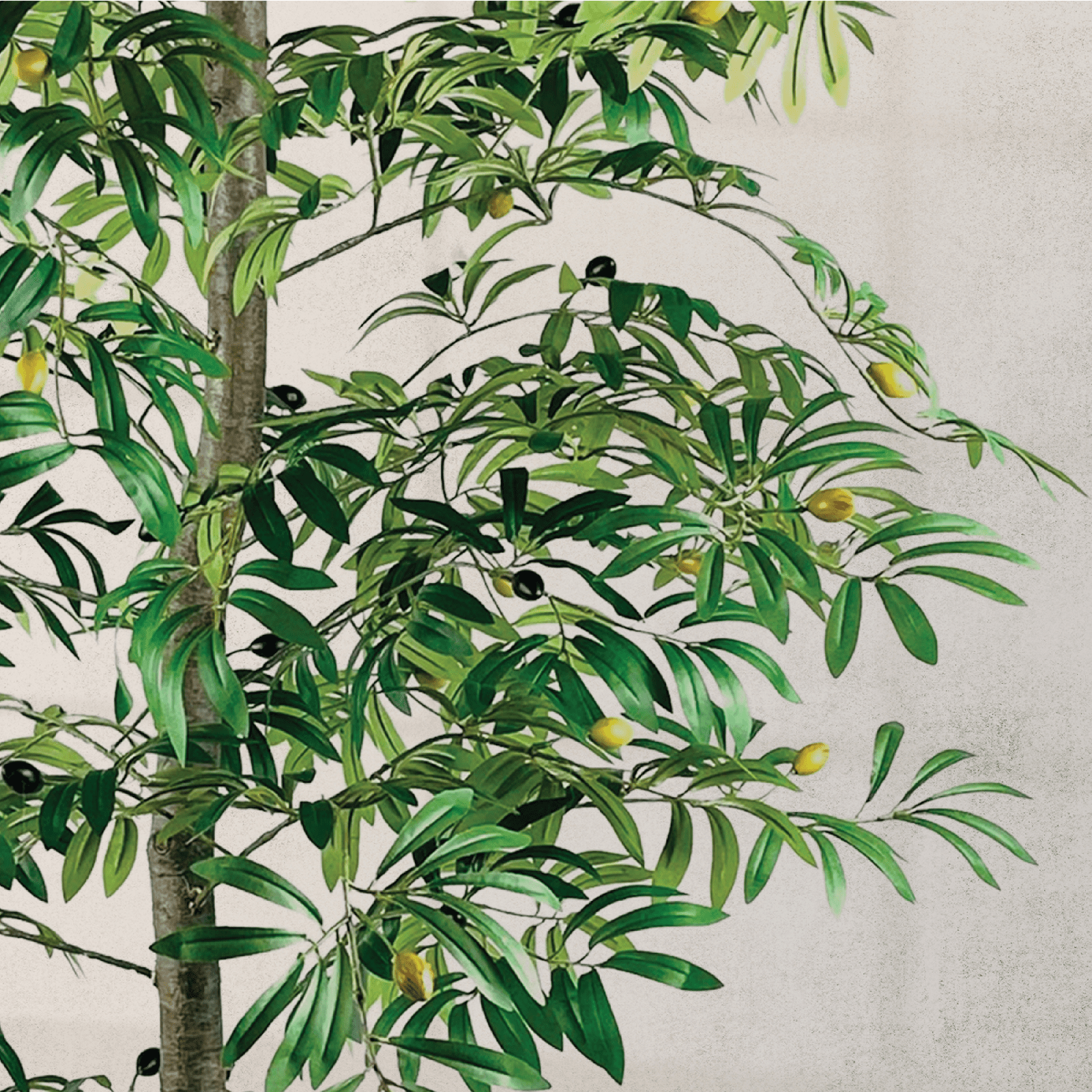 Artificial Tree, LCG Florals 6ft Olive Tree in Black Growers Pot, Fake Indoor Faux Tree for Living Room, Office, and Home Decor