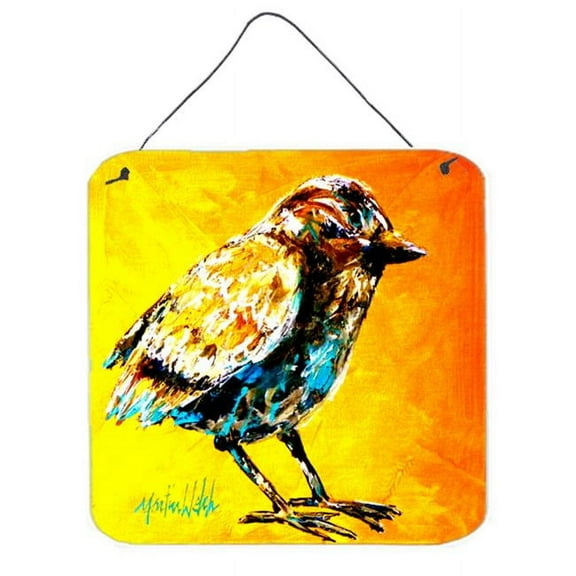 Bird Look At The Birdie Aluminium Metal Wall Or Door Hanging Prints
