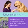 thumbnail image 6 of Zenrelia (Ilunocitinib Tablet) Once Daily Prescription Itch Relief for Dogs 8.5 mg (90 Count), 6 of 11
