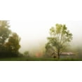 thumbnail image 2 of Head, Danny 24x14 White Modern Wood Framed Museum Art Print Titled - Fog at the Farm, 2 of 4