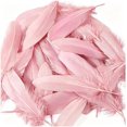 thumbnail image 3 of DIY Floating Feathers for Hair Crafts, Large Decorative Feathers for Wedding and Party Decor, 3 of 4