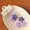 Purple, variant on KOYPTL Hollow Star Snap Hair Clips,Cute Non Slip Side Barrettes,Sweet Hair Accessories for Little Girls Braids Bangs Daily Hairstyle DIY Decor