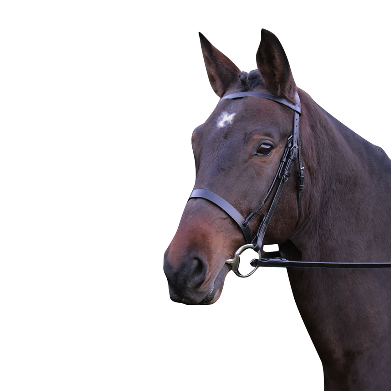 Ideal for the show ring Traditional Hy Hunter Bridle with Rubber Grip Rein
